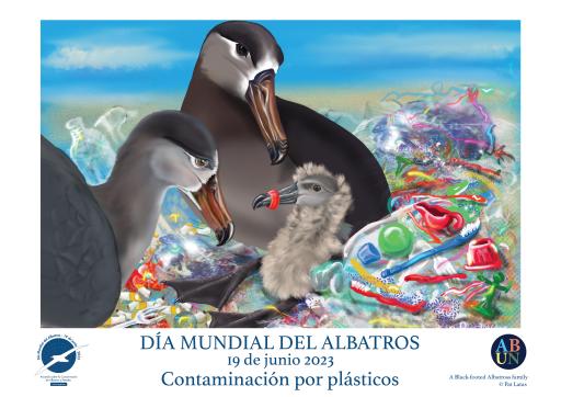 Black-footed Albatrosses: "Plastic Lament" by Patricia Latas - Spanish