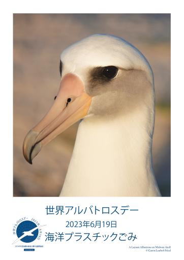 A Laysan Albatross on Midway Atoll by Caren Loebel-Fried - Japanese