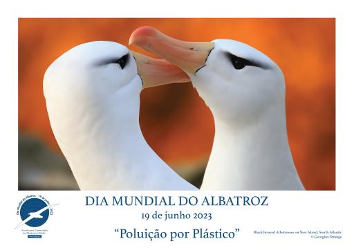 Black-browed Albatrosses by Georgina Strange - Portuguese