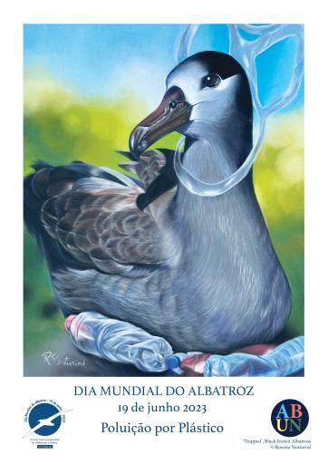 Black-footed Albatross: "Trapped" by Rosana Venturini - Portuguese
