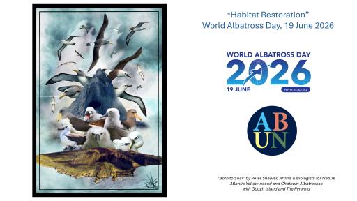 WAD2026 Poster Peter Shearer