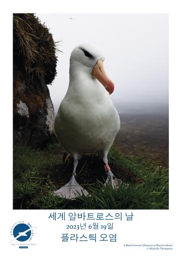 A Black-browed Albatross by Michelle Thompson - Korean