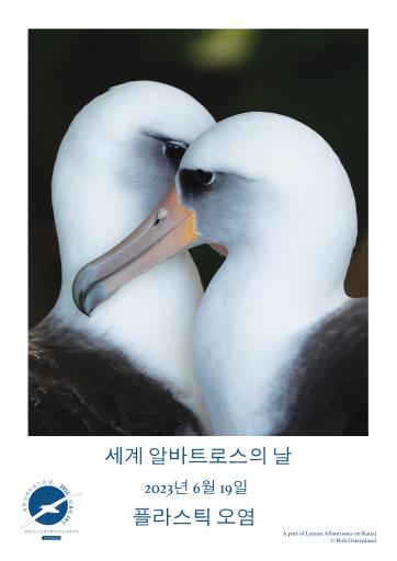 A Pair of Laysan Albatrosses on Kauai by Hob Osterlund - Korean