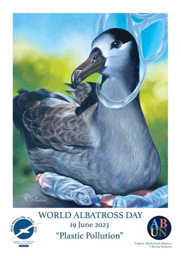 Black-footed Albatross: "Trapped" by Rosana Venturini - English